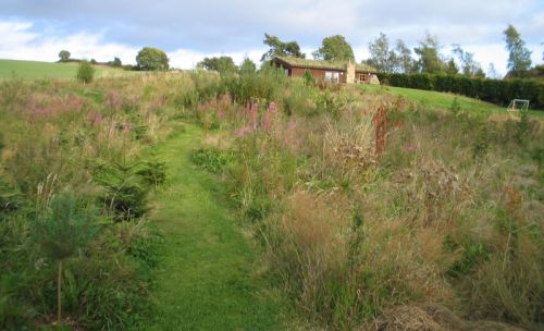 picture of Hytte Wildlife area - click for larger image. Opens in new tab