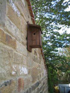picture of Nest box - click for larger image. Opens in new tab