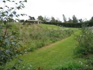 picture of Wildlife area - click for larger image. Opens in new tab