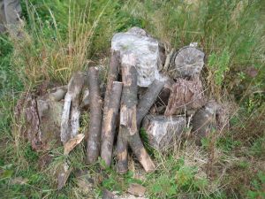 picture of Pile of rotting wood - click for larger image. Opens in new tab