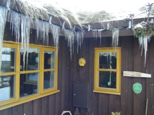 picture of More Real Icicles - click for larger image. Opens in new tab