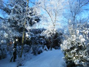 picture of Hytte driveway - click for larger image. Opens in new tab