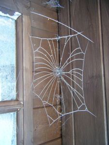 picture of Frosty Cobweb - click for larger image. Opens in new tab
